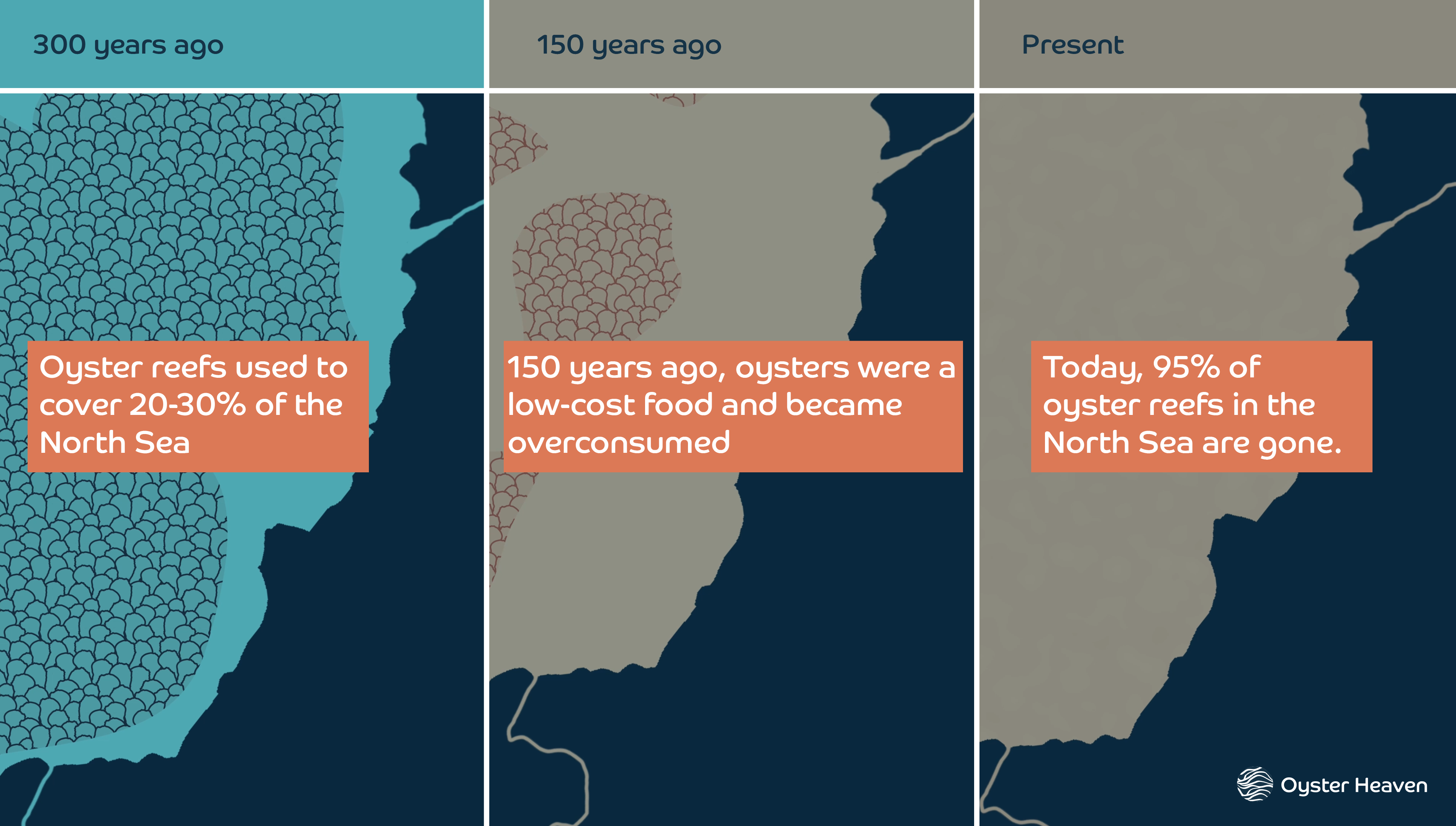Evolution of Oyster Reefs - Landscape