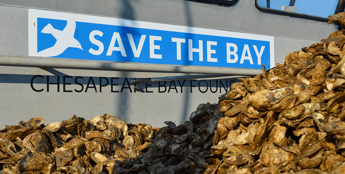 save-the-bay-oysters-rebeecca-long-1171x593